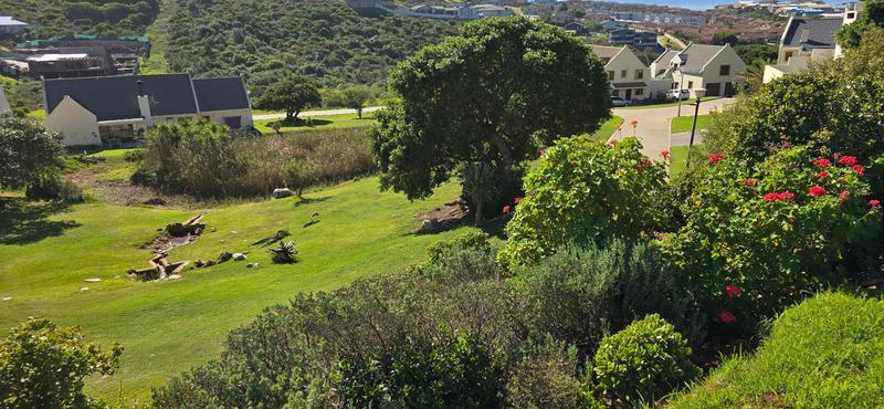 0 Bedroom Property for Sale in Mossel Bay Western Cape